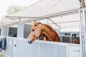 Temporary event stabling prepared for equine influenza biosecurity