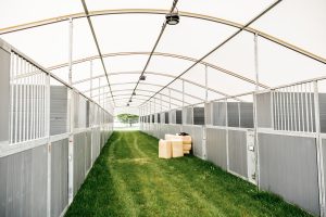Welfare-led temporary stabling for event biosecurity and horse health