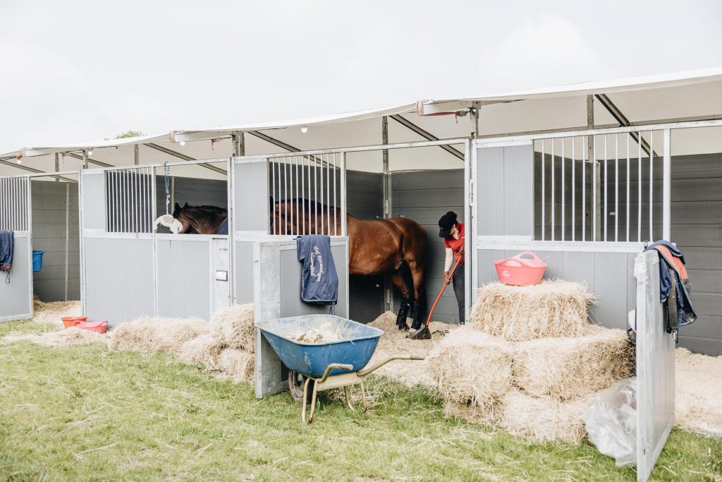 Stabling setup for foaling and youngstock preparation

