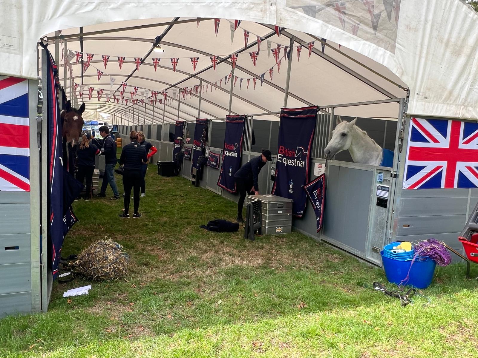 The Power of Horses: Understanding Equestrianism’s Social Value