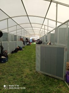 temporary stabling for equestrian events at Osberton with Shire horses on display