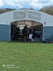 welfare-led temporary stabling for equestrian events in practice