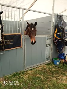 temporary stabling with integrated veterinary facilities at an equestrian event