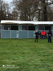 display stabling at Osberton with Shire horses in the Yesteryear Village